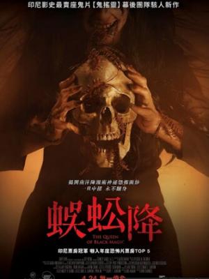 轮播影视